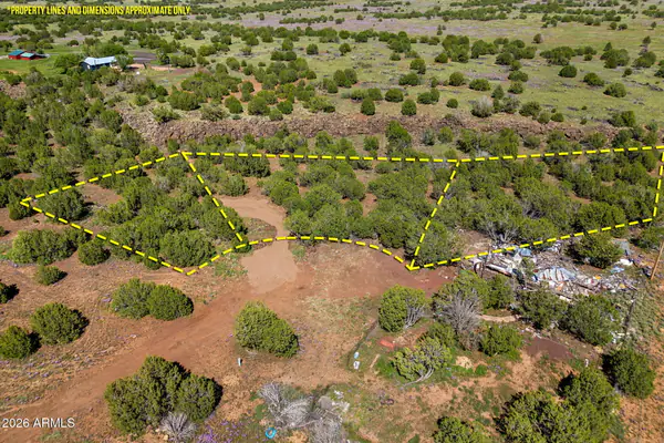8788 ANDREA Place 105, Show Low, AZ 85901