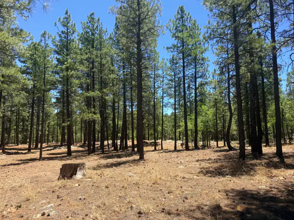 4215 Apache Drive, Happy Jack, AZ 86024