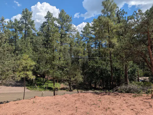 3586 N Pine View Drive, Pine, AZ 85544