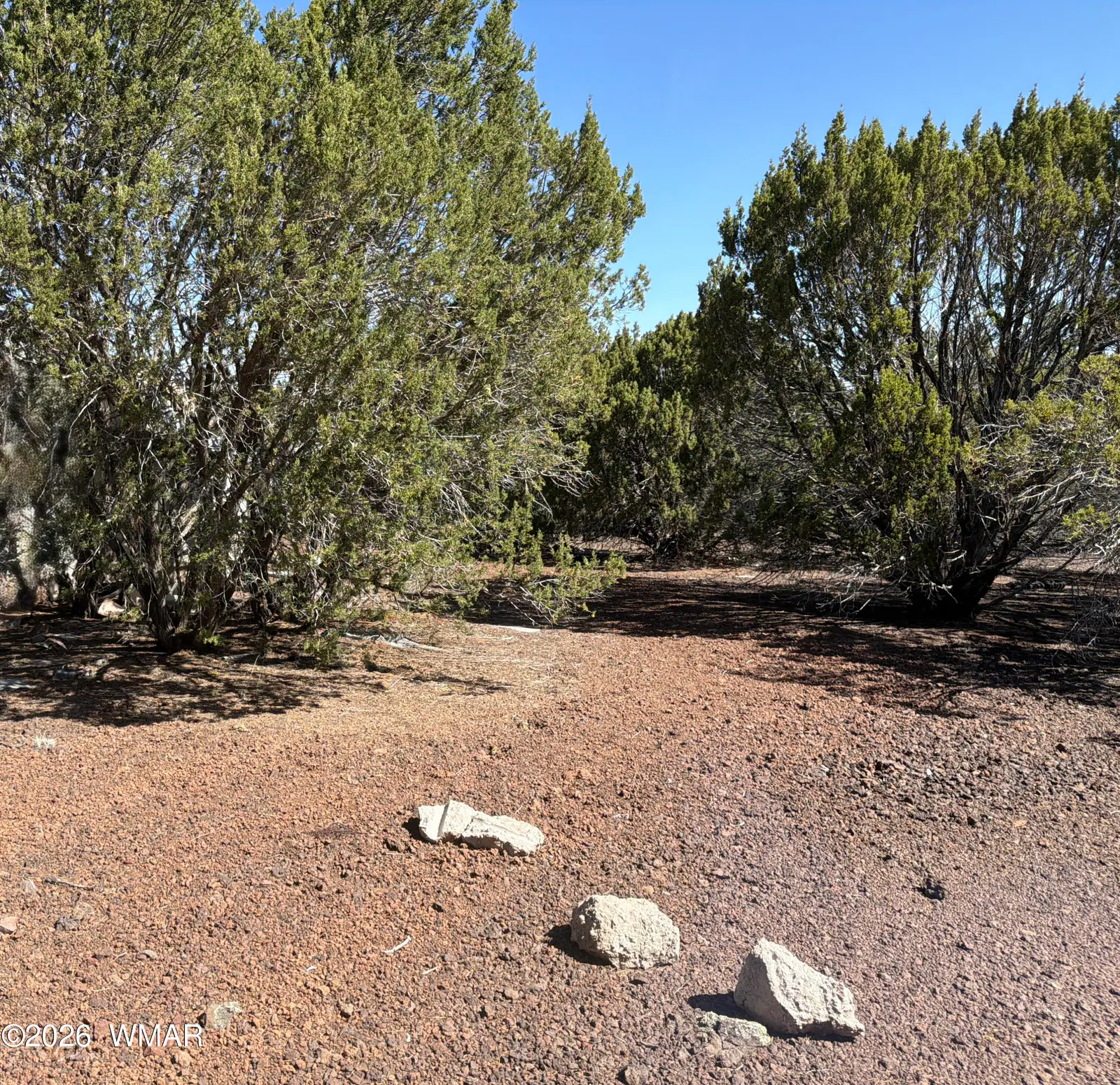 Lot 200 County Road 3189, Vernon, AZ 85940 — Photo 1 of 7