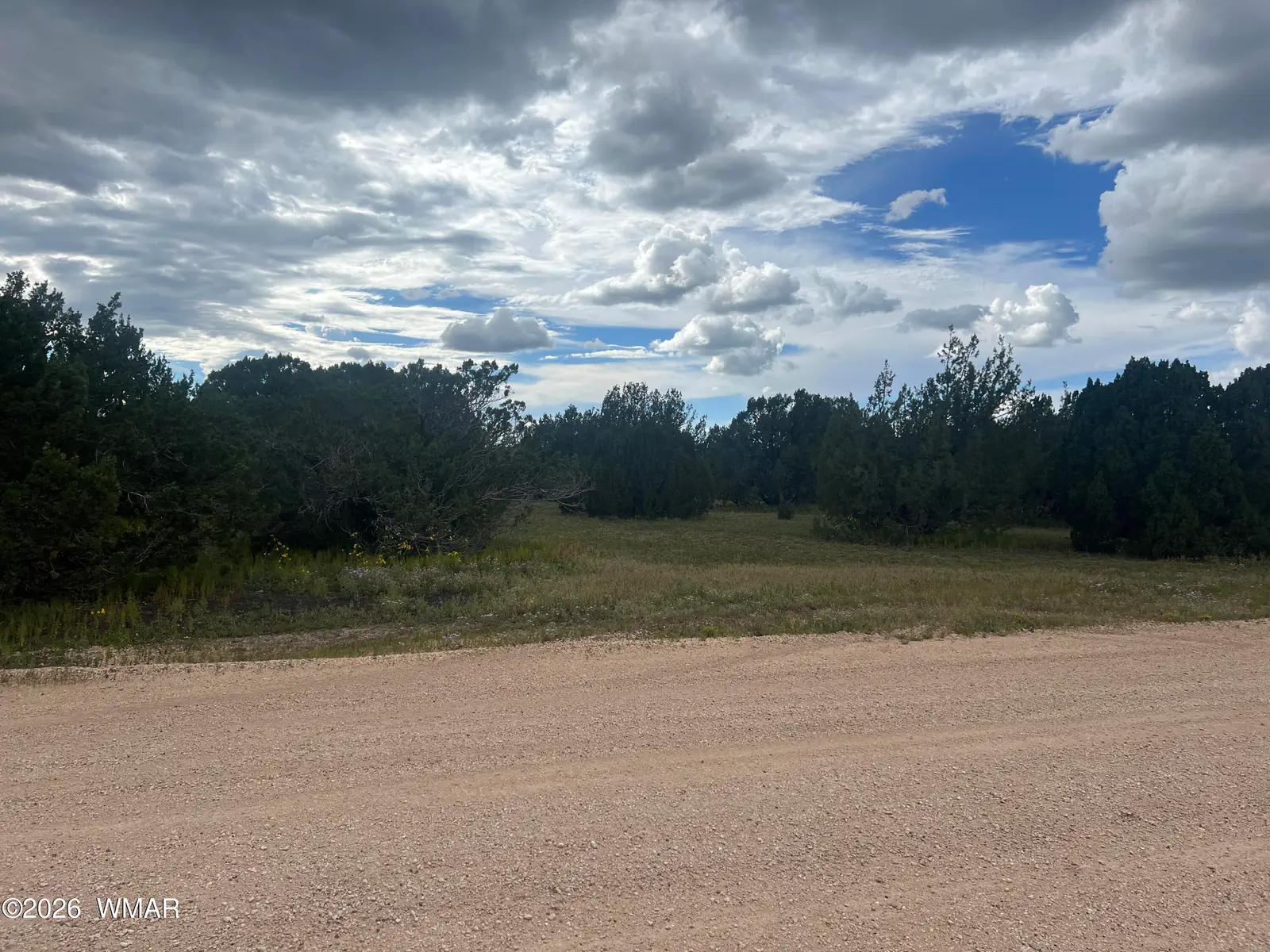 TBD N3119, Vernon, AZ 85940 — Photo 1 of 7