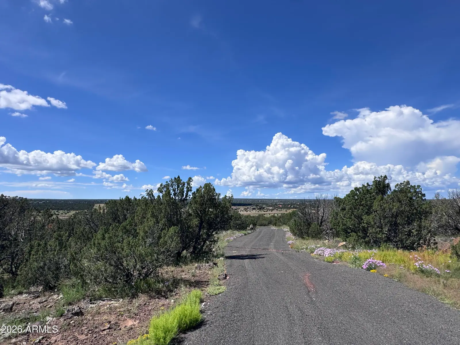 1939 BOURDON RANCH Road -, Show Low, AZ 85901 — Photo 1 of 23