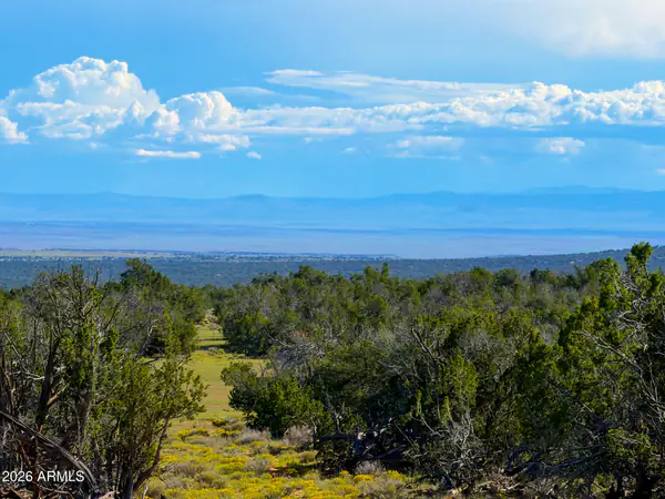 TBD Co Rd N7480 40 Acres -, St Johns, AZ 85936