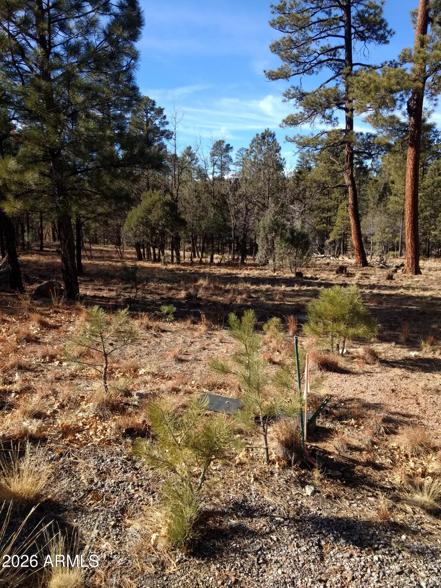 4357 JUNIPER Drive 100, Happy Jack, AZ 86024 — Photo 1 of 2