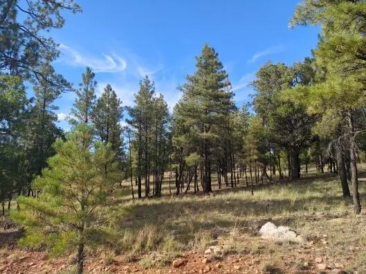 4556 Starlight Drive, Happy Jack, AZ 86024 — Photo 1 of 10