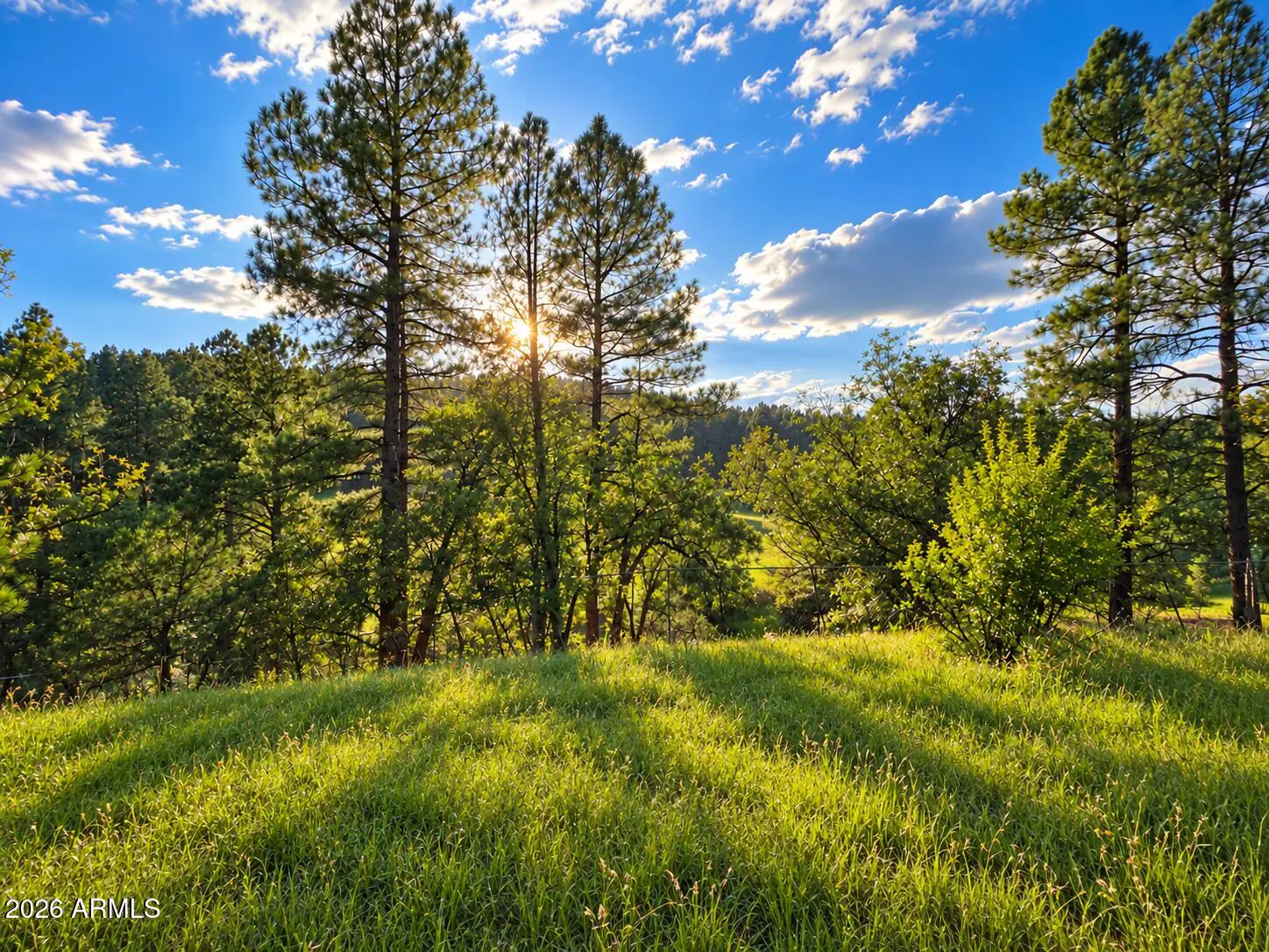 1248 S RUNNING ELK Road 88, Payson, AZ 85541 — Photo 1 of 19