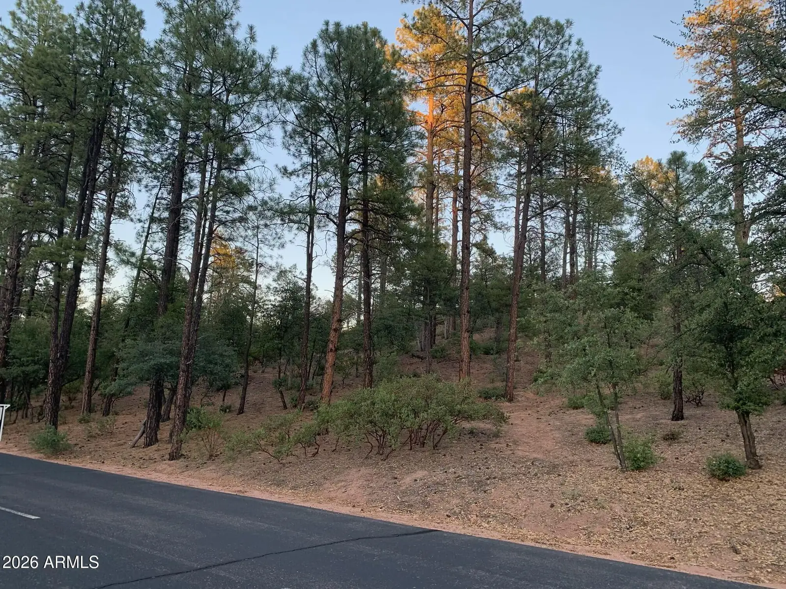 805 S Monument Valley Drive 166, Payson, AZ 85541 — Photo 1 of 1