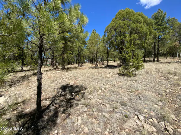 4199 STARLIGHT Drive 613, Happy Jack, AZ 86024