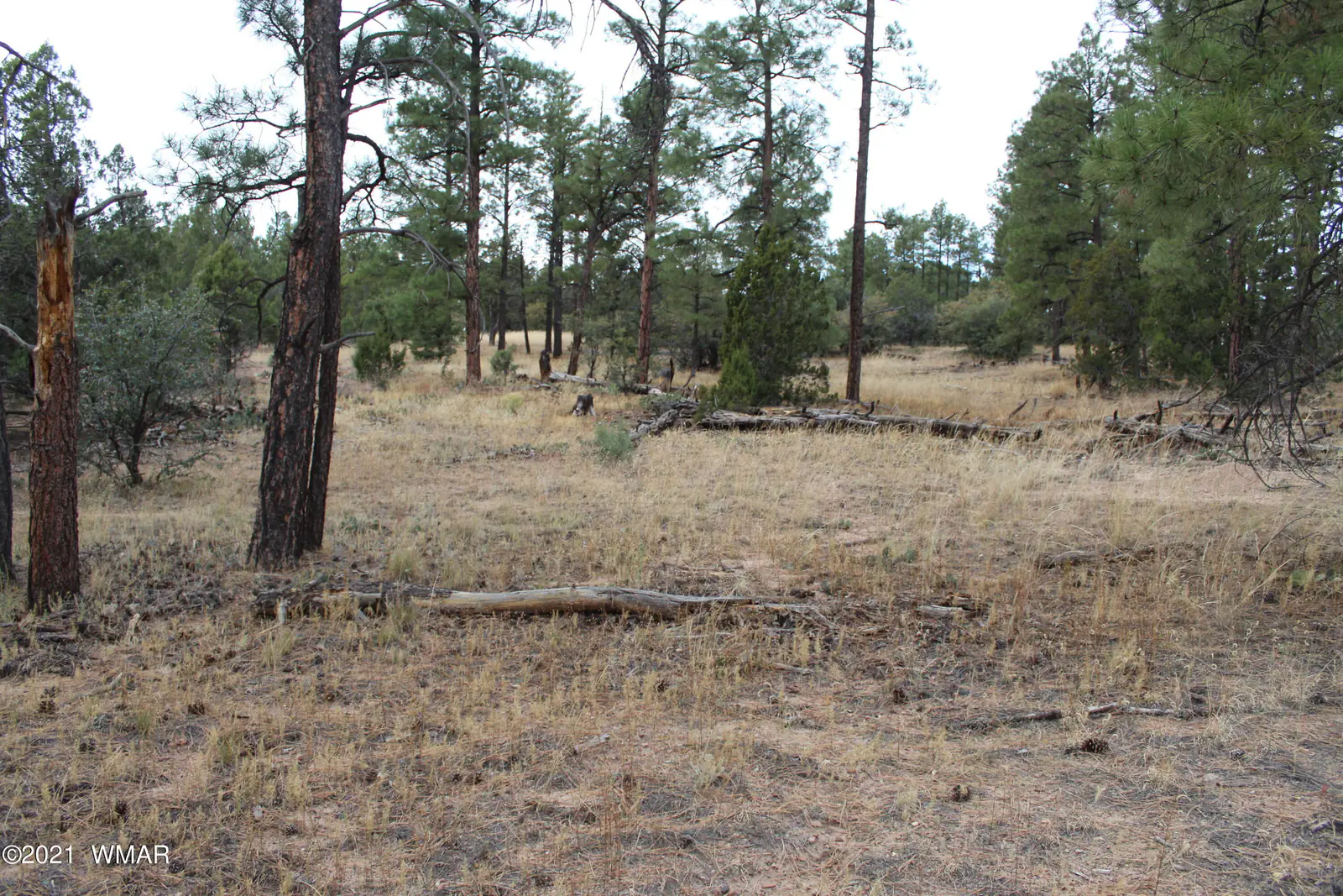 004 U Elk Trail, Show Low, AZ 85901 — Photo 1 of 27