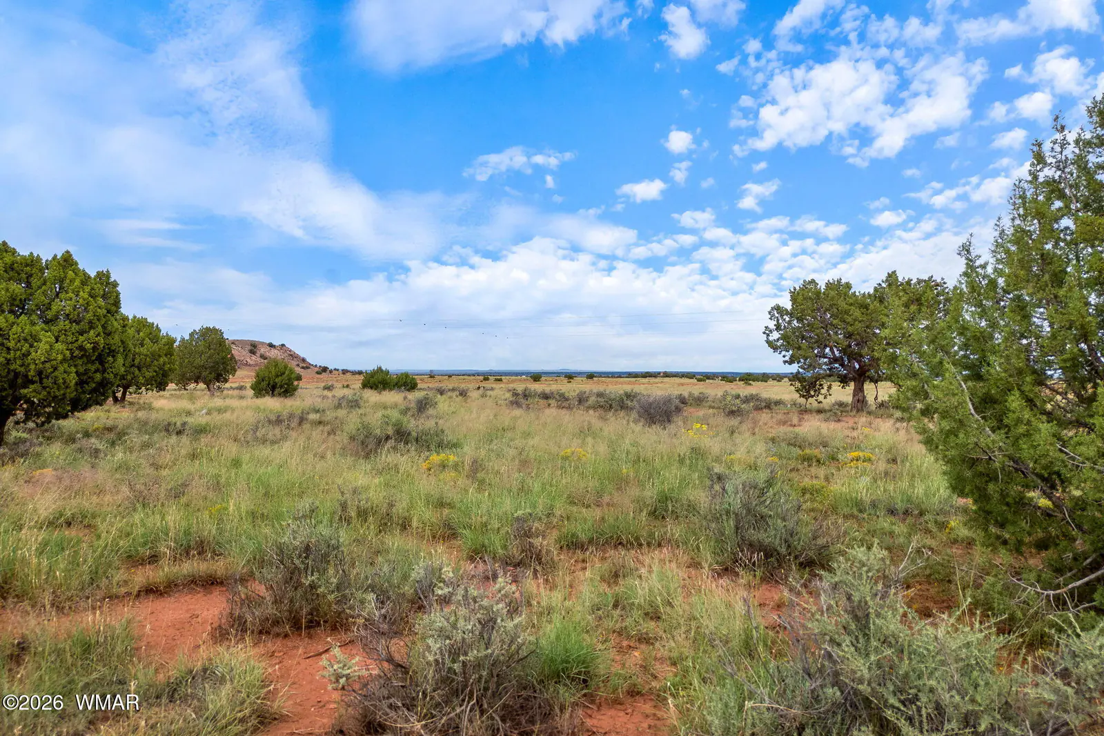 316 County Rd 9211, Concho, AZ 85924 — Photo 1 of 21