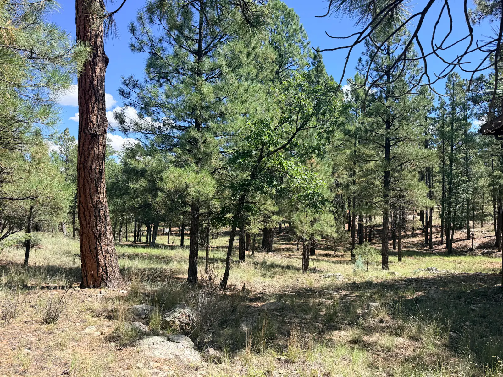 5177 Starlight Drive, Happy Jack, AZ 86024 — Photo 1 of 7