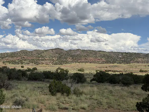 Lots 18,19 N8577 Road, Concho, AZ 85924
