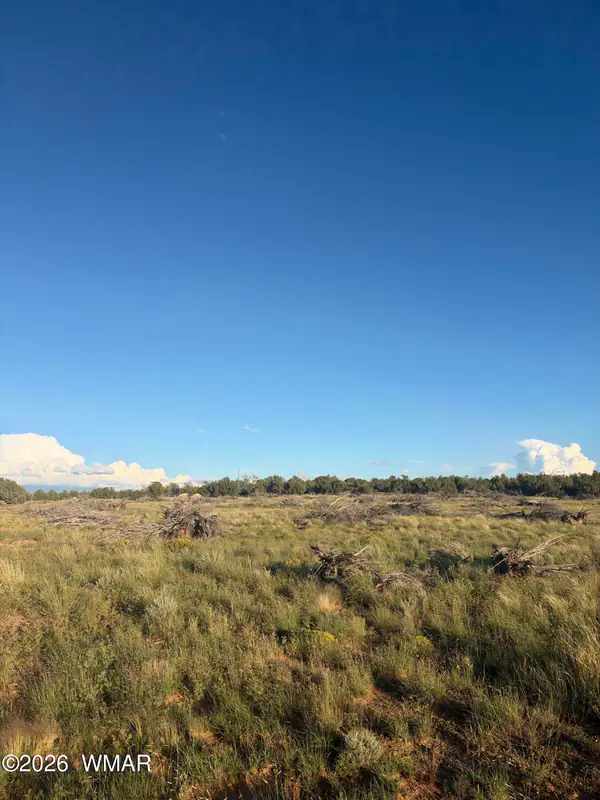 Land at 3893 Trebil Boulevard, Snowflake
