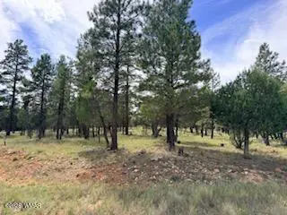 5206 Starlight Drive, Happy Jack, AZ 86024