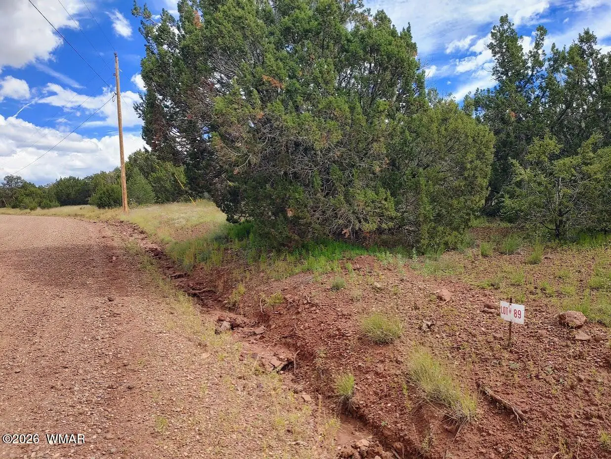 64 E ACR 8145 Road 89, Concho, AZ 85924 — Photo 1 of 6