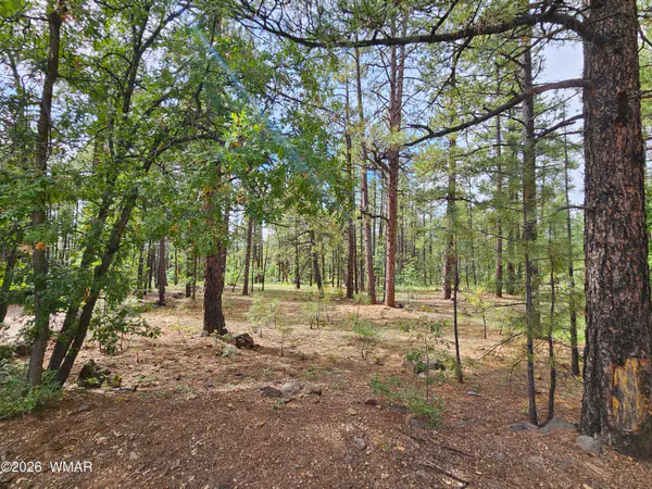 6311 Appaloosa Circle, Pinetop, AZ 85935