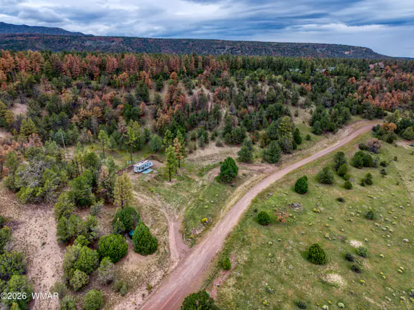 Land at Lot 52 County Road 2225, Nutrioso