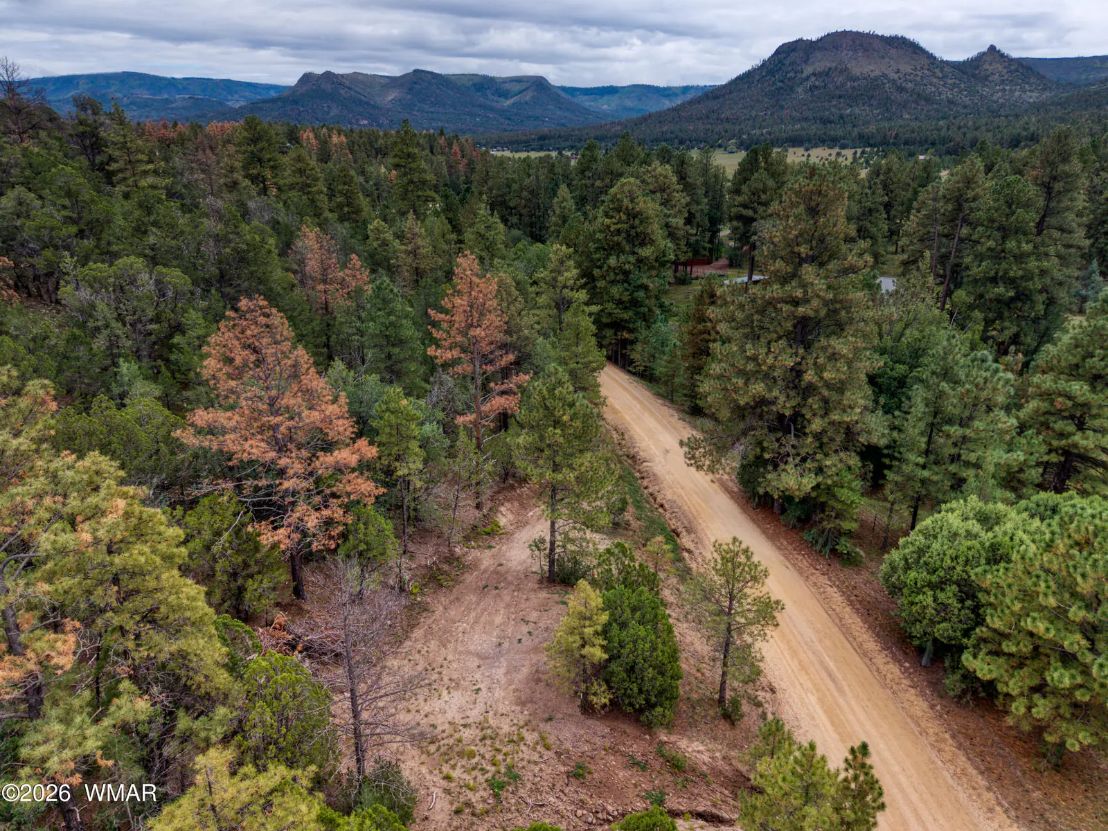 75 County Road 2108, Nutrioso, AZ 85932 — Photo 1 of 14