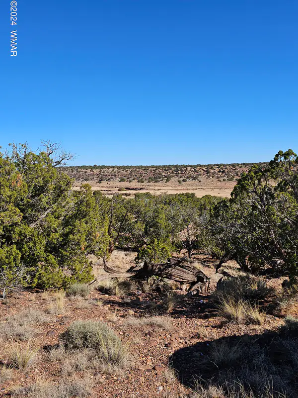 45 N 8579, Concho, AZ 85924