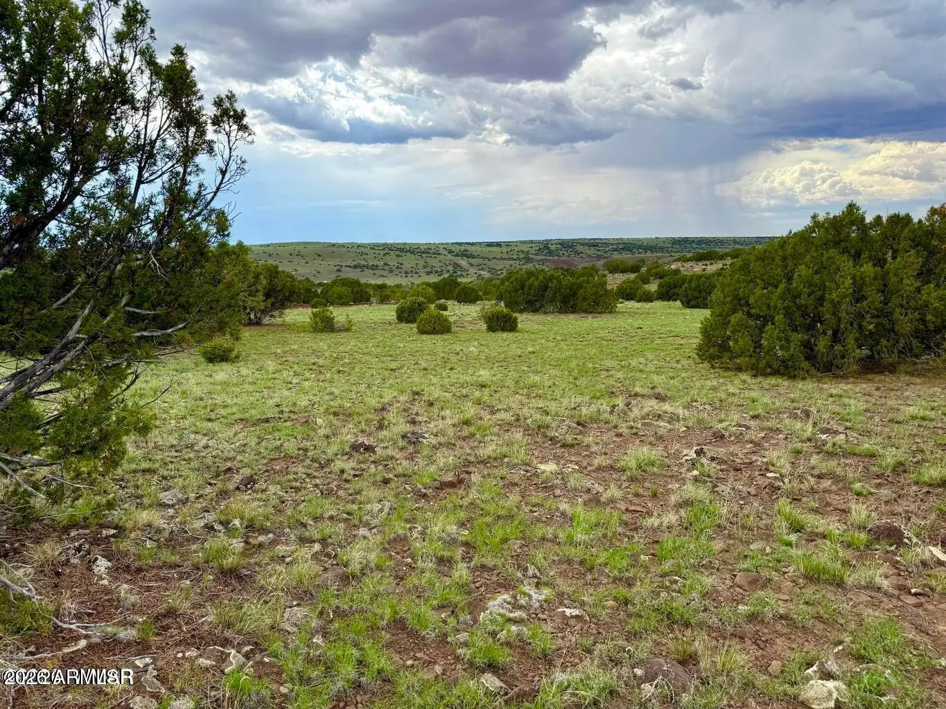 116 Co Rd 8127 -, Concho, AZ 85924 — Photo 1 of 17