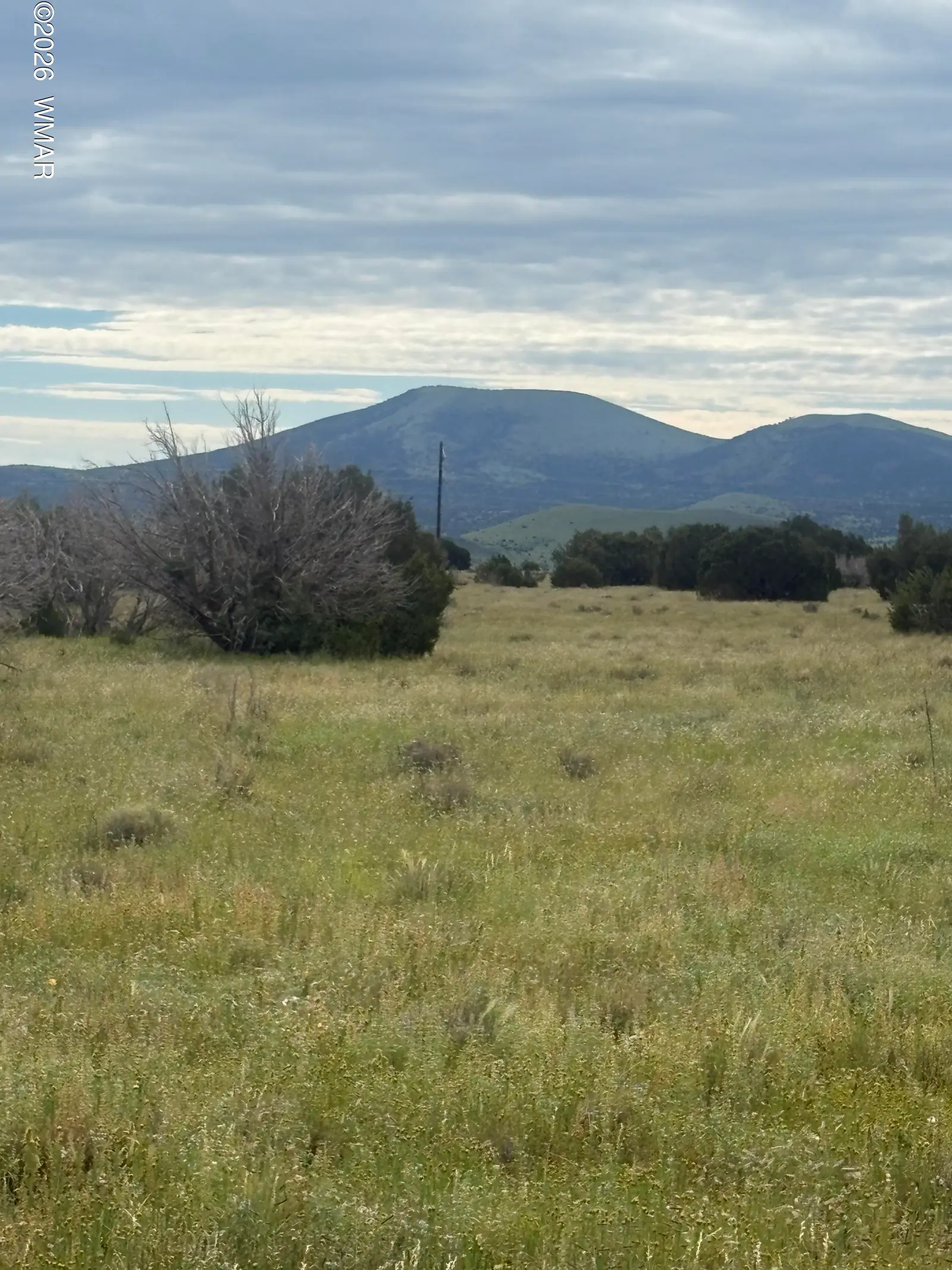 149 County Road 3149, Vernon, AZ 85940 — Photo 1 of 5