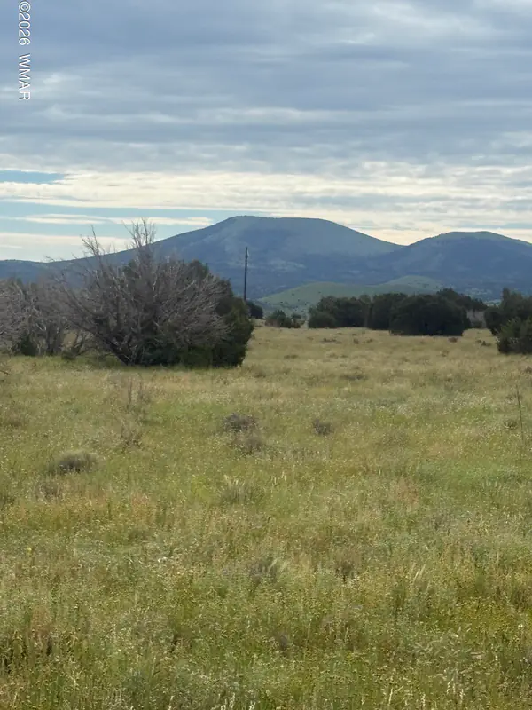 149 County Road 3149, Vernon, AZ 85940