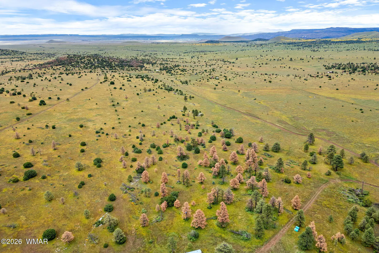 TBD County Rd N1334, Greer, AZ 85927 — Photo 1 of 21