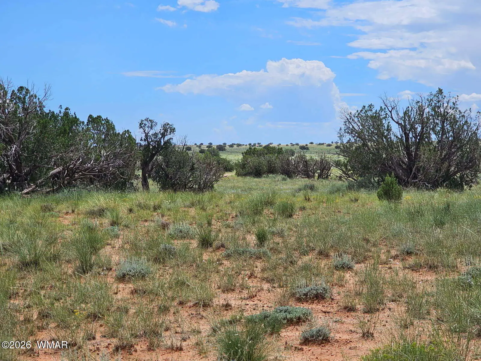 1924 Hutch Road, Heber, AZ 85928 — Photo 1 of 17