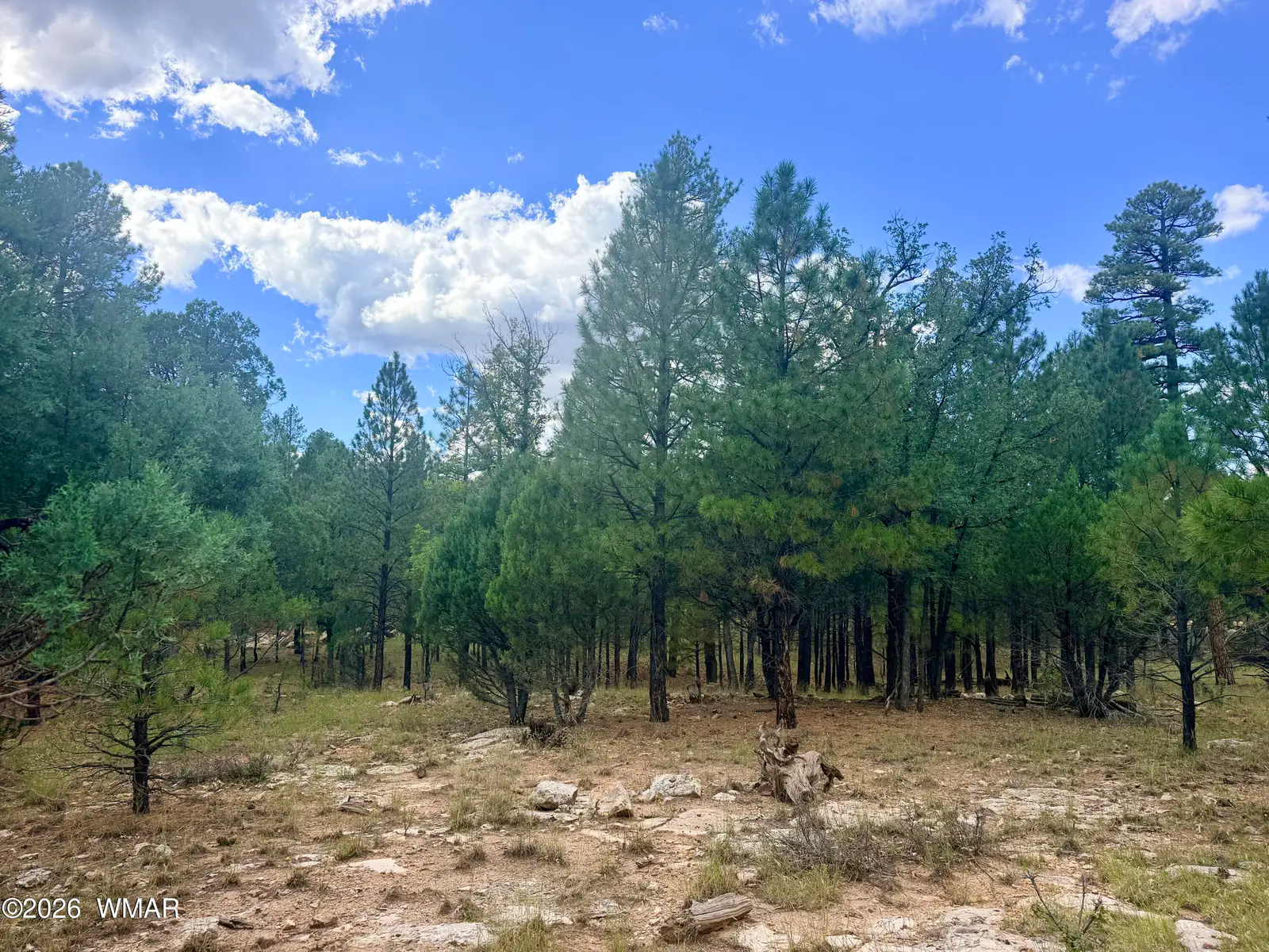 1601 Mule Deer Place, Happy Jack, AZ 86024 — Photo 1 of 12