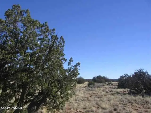 Lot 537 Chevelon Canyon Ranch Lot 537, Heber, AZ 85928 — Photo 1 of 3