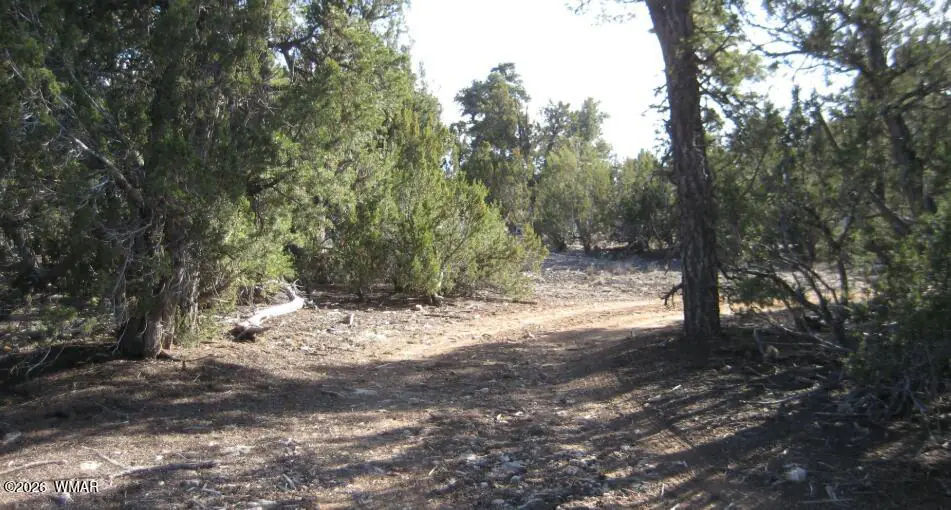 3249 E Aspen Road, Overgaard, AZ 85933 — Photo 1 of 3