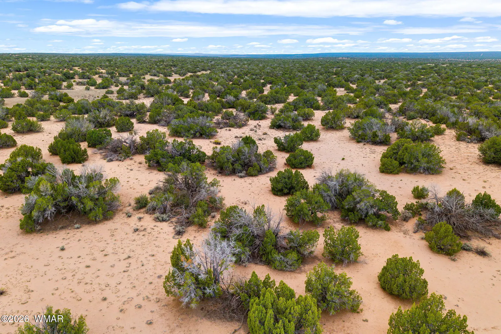 316 Lot 3 Witch Well Ranches, St. Johns, AZ 85936 — Photo 1 of 19
