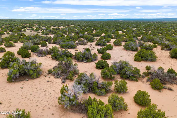 Lot 3 Witch Well Ranches, Blk 1, St. Johns, AZ 85936
