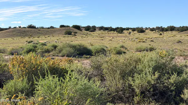 TBD N 6543, St. Johns, AZ 85936