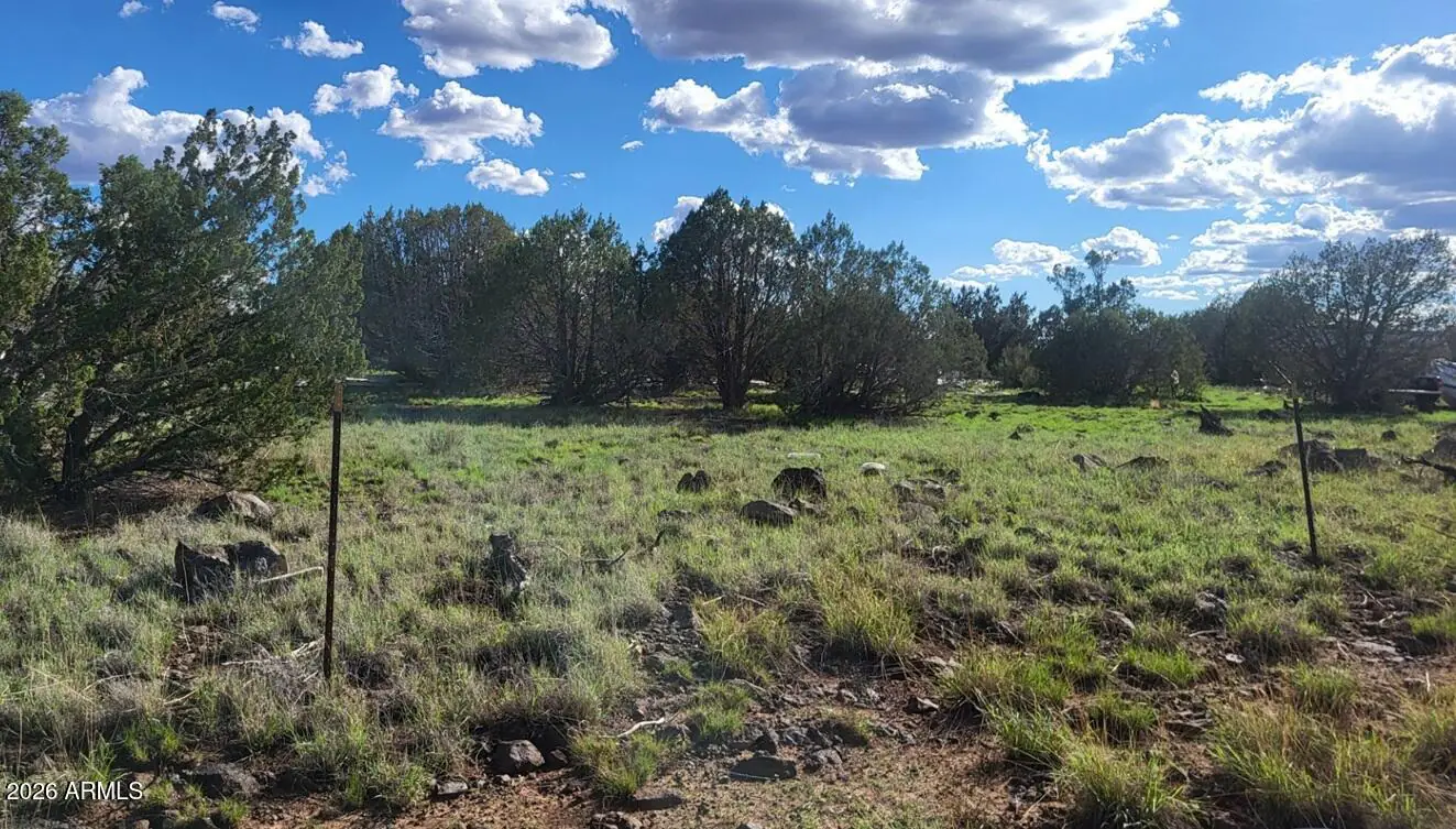 3851 N BOONE Trail 56, Ash Fork, AZ 86320 — Photo 1 of 6