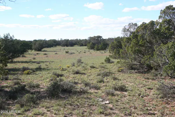 TBD 7230-002 -, St Johns, AZ 85936
