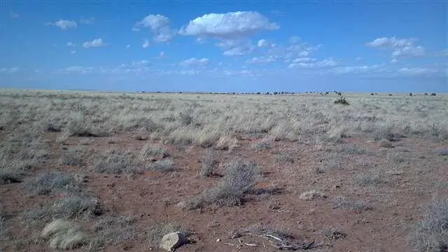Lot 487 Chevelon Canyon Ranch Unit 3, Heber, AZ 85928 — Photo 1 of 2
