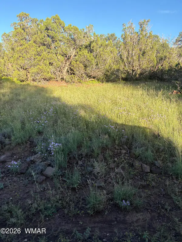 Land at 337 N8269, Concho