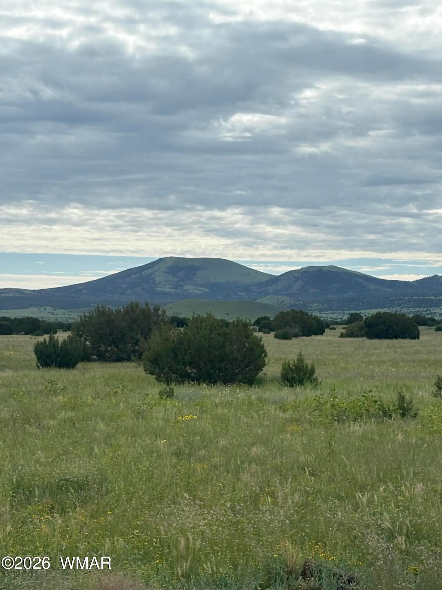147 County Road 3149, Vernon, AZ 85940 — Photo 1 of 7