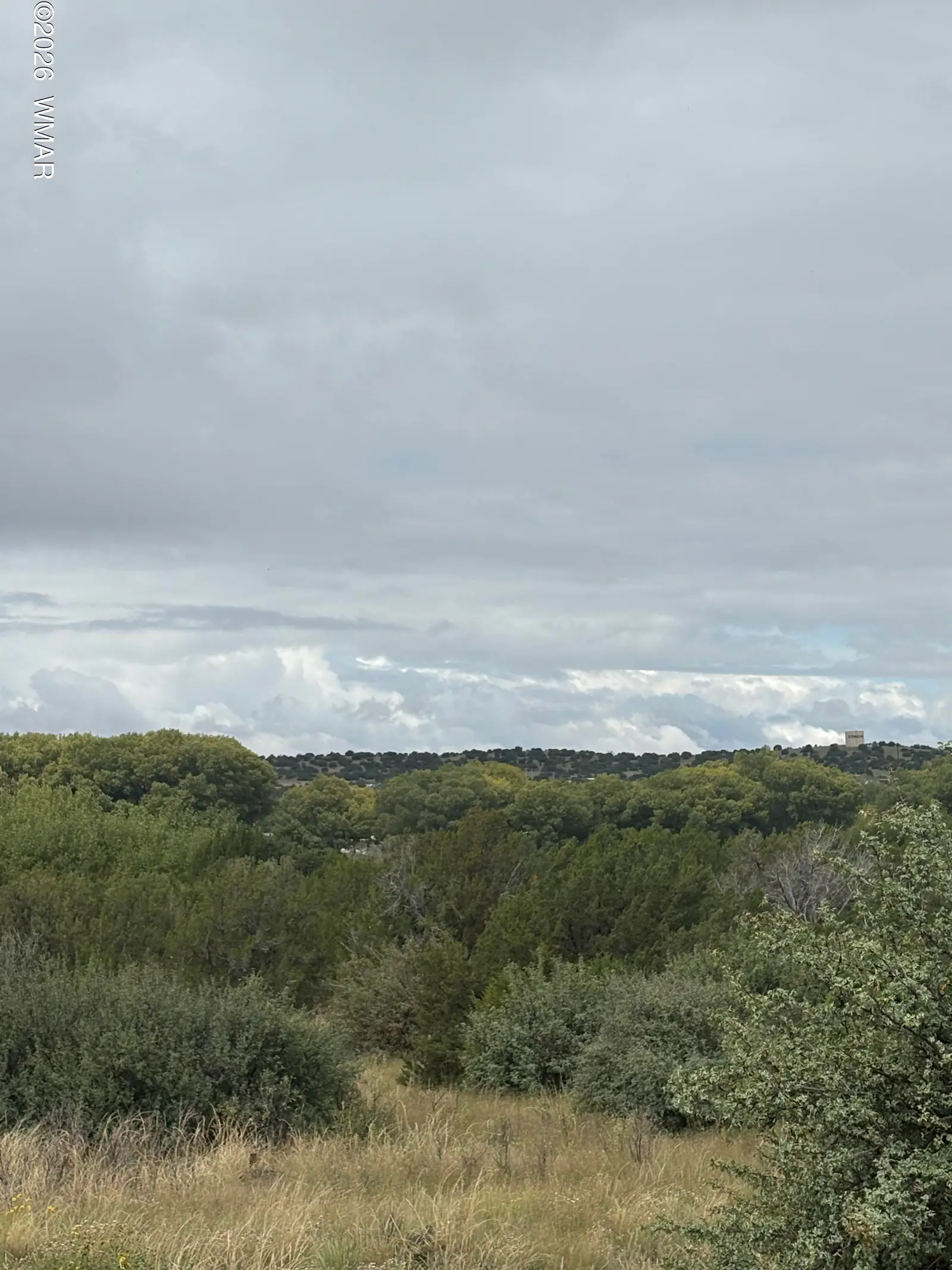7 County Road 5082, Concho, AZ 85924 — Photo 1 of 5