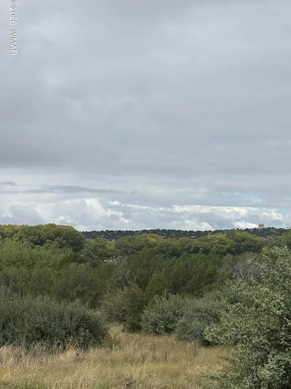 7 County Road 5082, Concho, AZ 85924