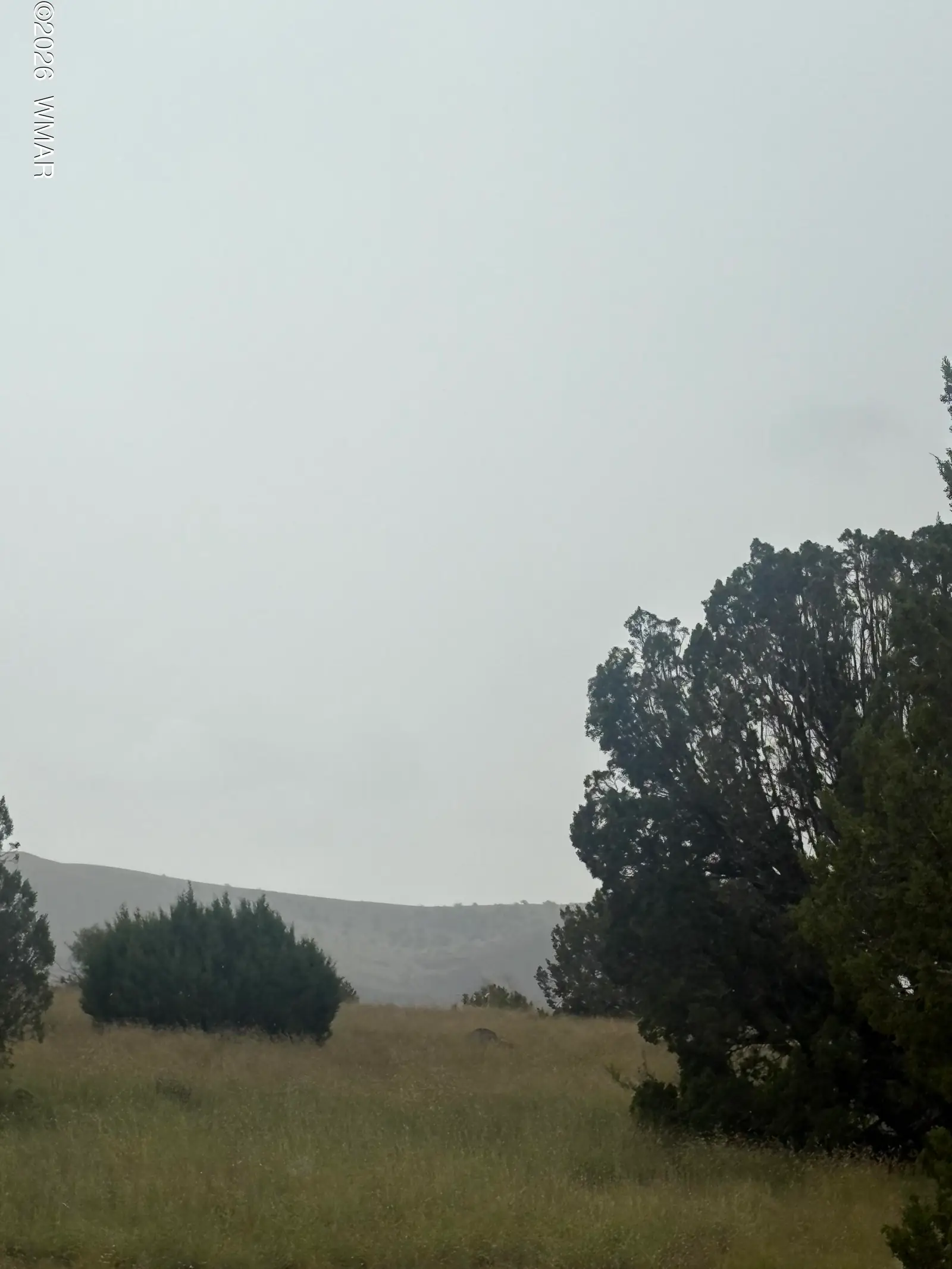 3 Littler Drive, Concho, AZ 85924 — Photo 1 of 4