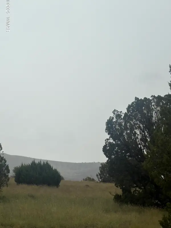 3 Littler Drive, Concho, AZ 85924