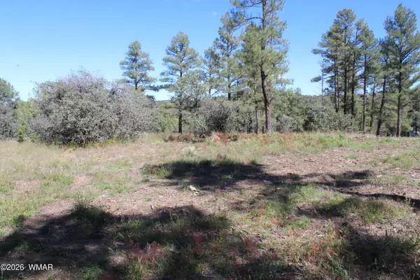 004T Elk Trail, Show Low, AZ 85901