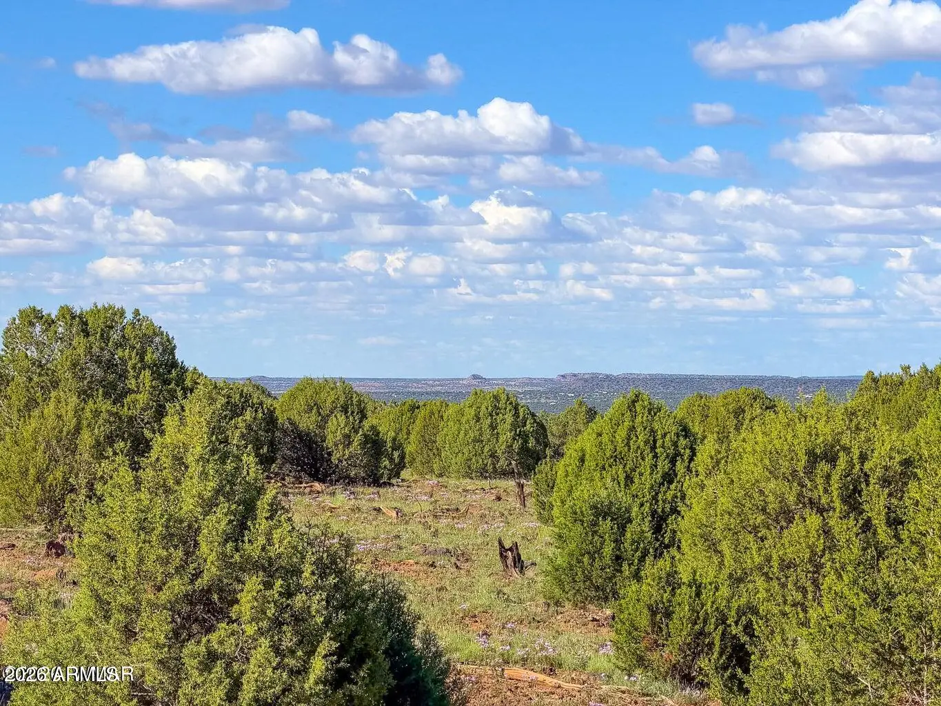8025 Colt Ln Lot 5 8 Acres -, Show Low, AZ 85901 — Photo 1 of 1