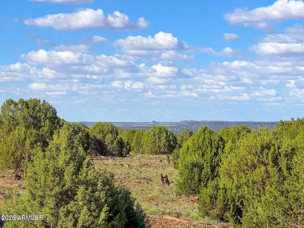 8025 Colt Ln Lot 5 8 Acres -, Show Low, AZ 85901