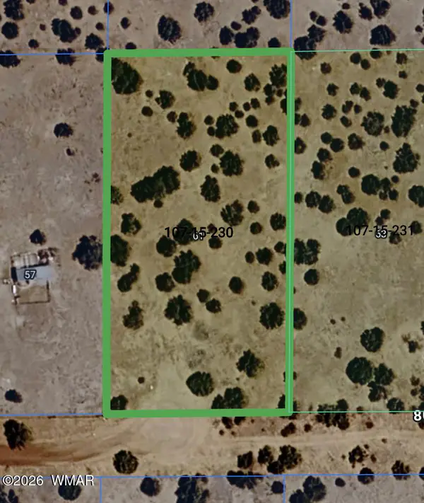 61 County Road, Concho, AZ 85924