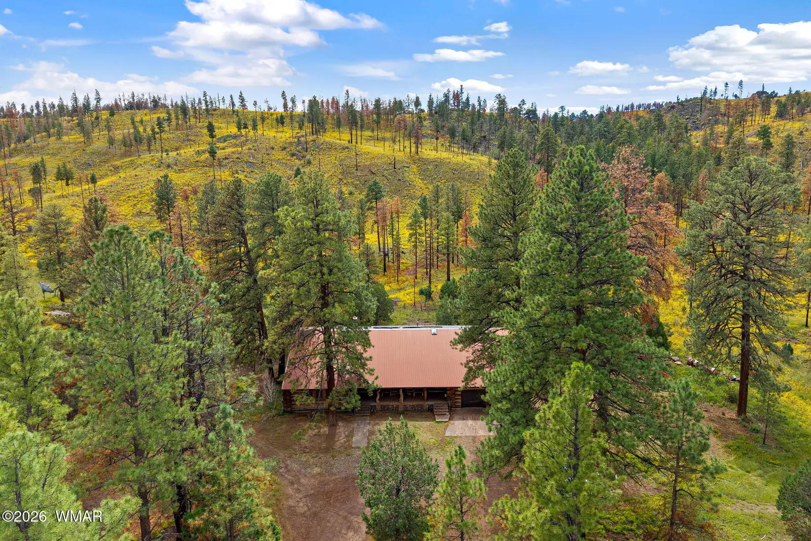 41005 AZ-261B, Eagar, AZ 85925 — Photo 1 of 62
