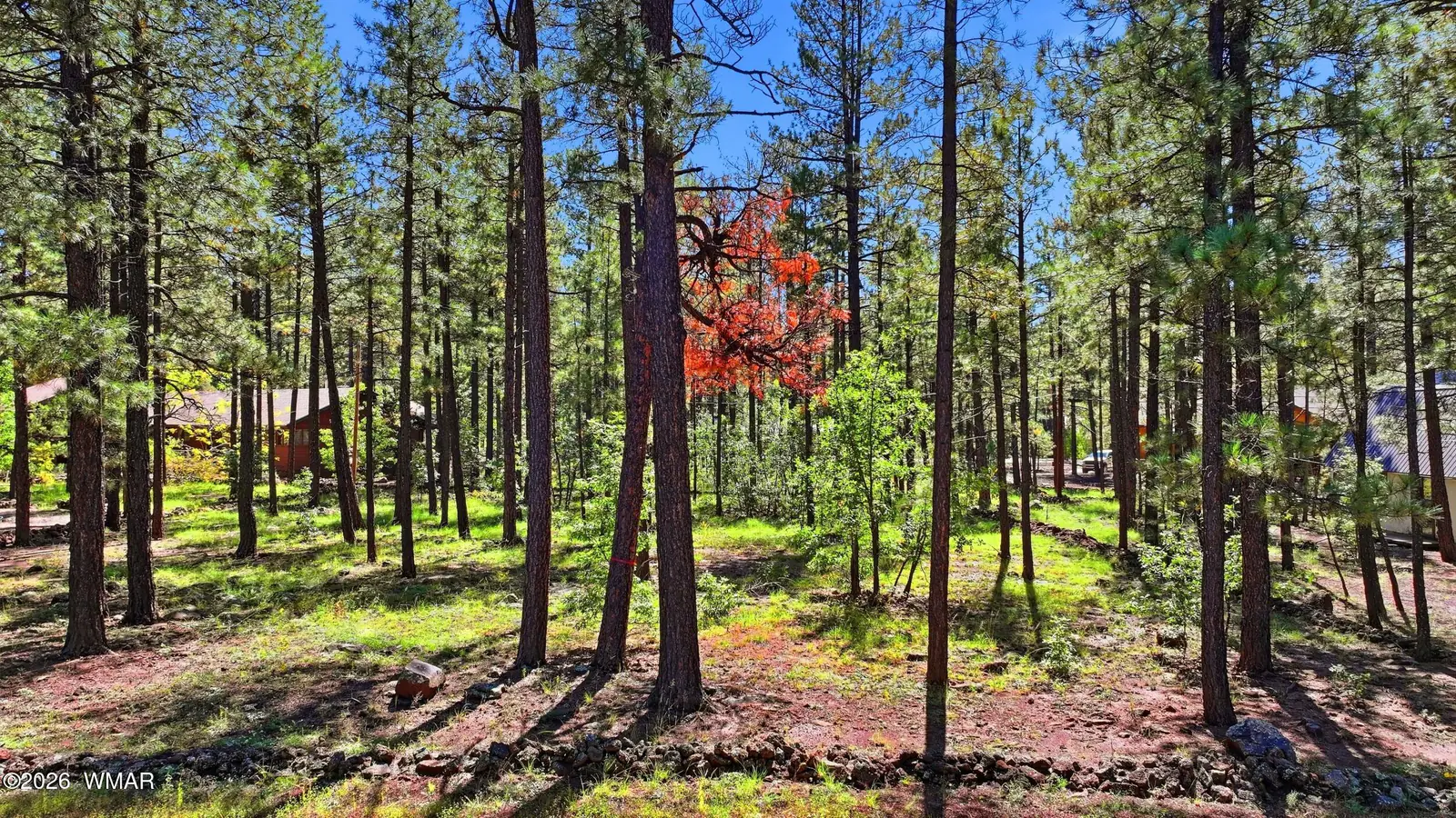 7029 Madison Lane Circle, Pinetop, AZ 85935 — Photo 1 of 13