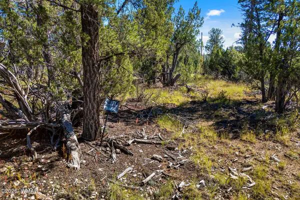 1948 Elk Road, Heber, AZ 85928